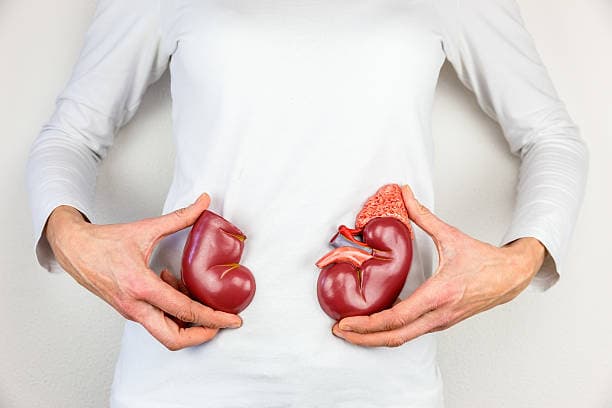 Kidney & Urinary Diseases